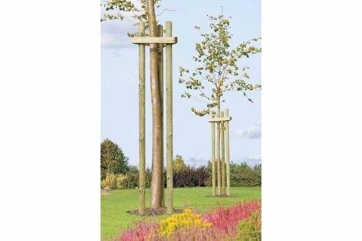 Baumpfähle, gespitzt u. gefast grün, 8x200 cm